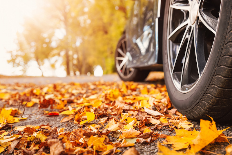 car tyres on autumn leaves