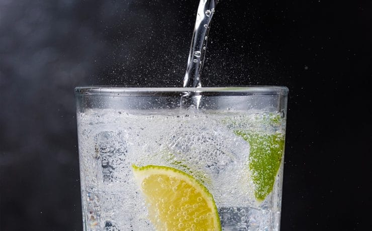 A fizzy drink with a mint leave and slice of lemon