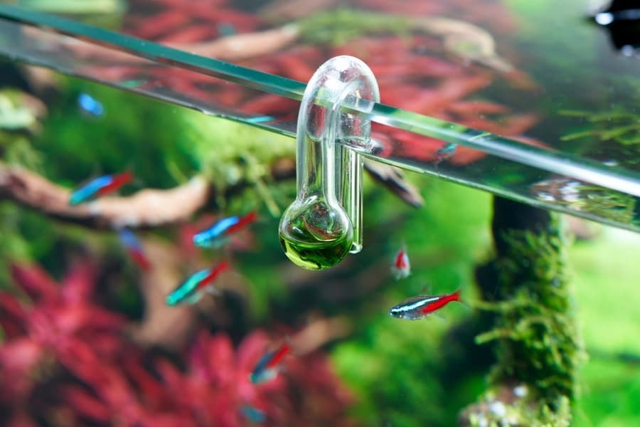 A glass tube with a drop of water on it