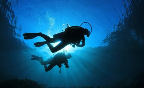 Scuba divers under water