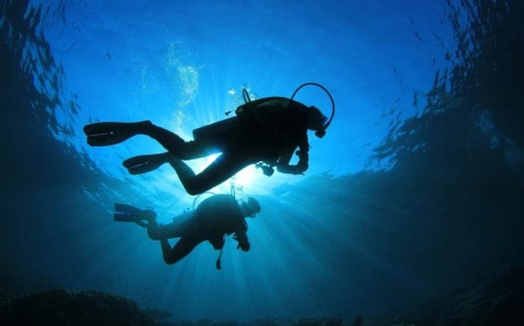 Scuba divers under water