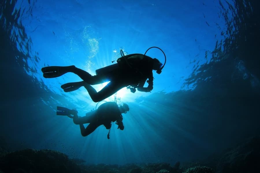 Scuba divers under water