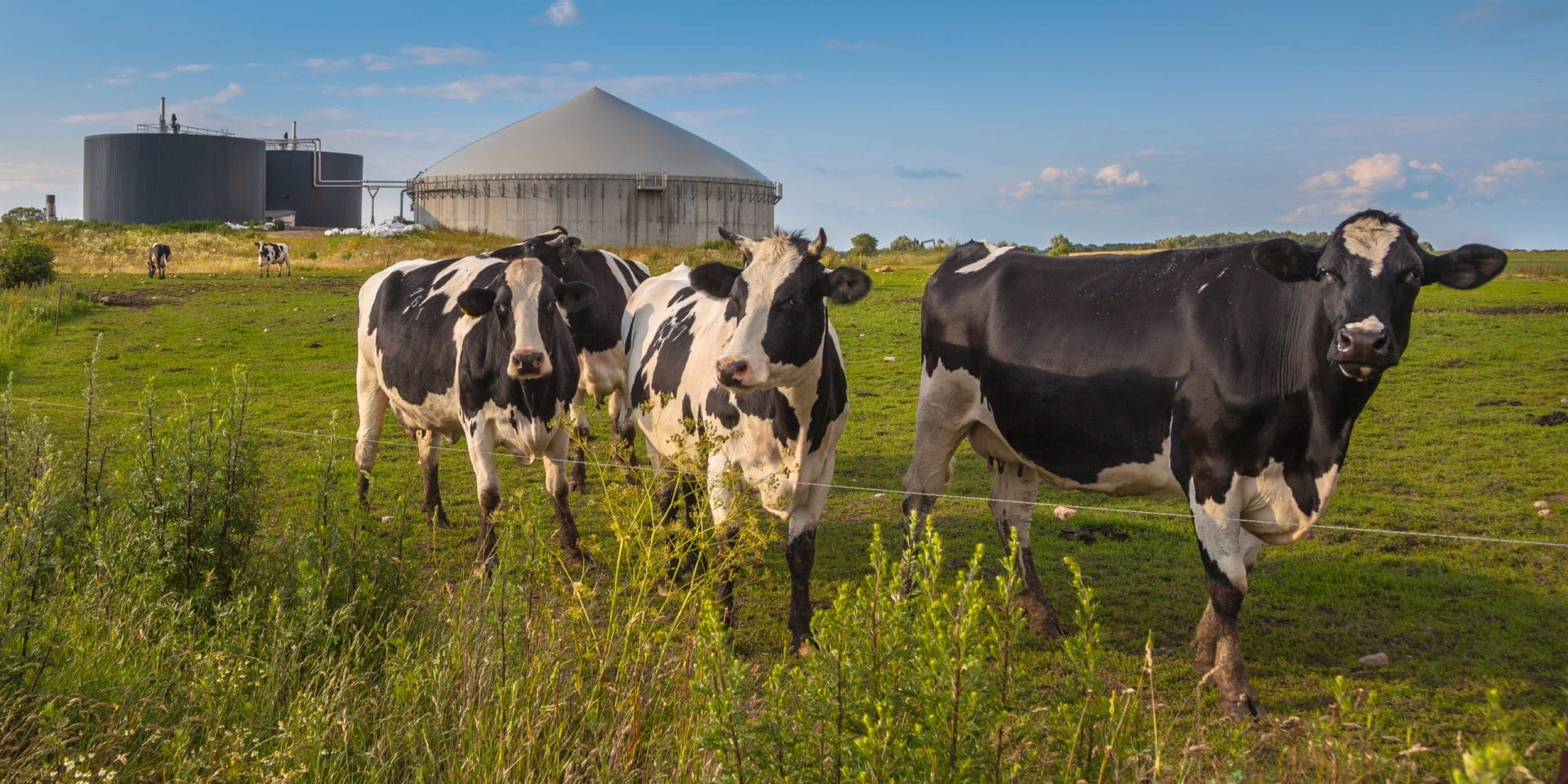 Bio Gas Installation on a farm processing Cow Dung as a side business activity